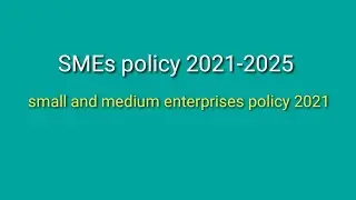 mgt601 gdb solution SMEs policy 2021-2025 ( Small and Medium Enterprises)