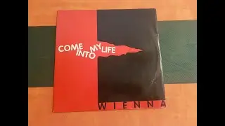 WIENNA.(COME INTO MY LIFE.(F.T. & COMPANY EDIT.)(12''.)(1995.)