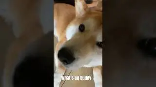 What’s up buddy