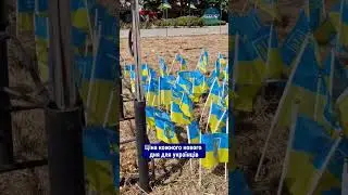💔У Херсоні облаштували острівець пам'яті загиблих на війні захисників України 🎥 Олександр Андрющенко