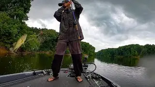 Mill Creek Lake Marshall, Illinois Rainy Day Whackfest! (SURPRISE RARE Fish?!)