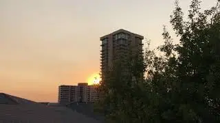 sp303 // lofi hiphop // sunset