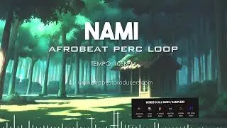 FREE DOWNLOAD Afrobeat Percussion Loop No Drums 100% Royalty Free | Afro Drum Sample | 