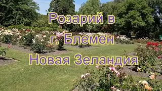 Розарий в Блемене Новая Зеландия.Сорта роз с названиями.Интересно как у них там всё обустроено