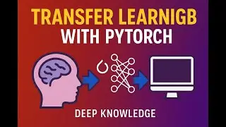 Transfer Learning in PyTorch Explained Step by Step 🚀  Beginner to Pro in One Video