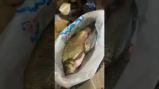 29 июня 2023 г.