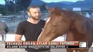 Tecavüz Edilen At ve Mağdur At