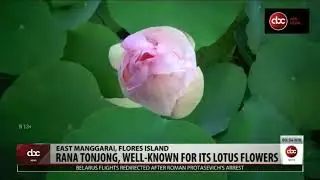 News Anchor - English Final Project