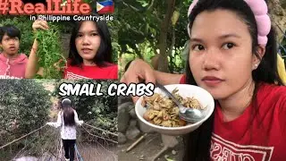 🇵🇭 HOW FILIPINA LIVES IN PHILIPPINE COUNTRYSIDE, CATCHING SMALL CRABS, PICKING BITTER GOURD LEAVES