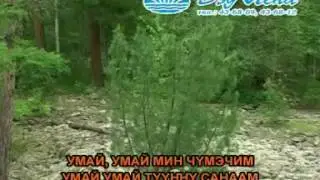 Туунну санаам М  Юргина
