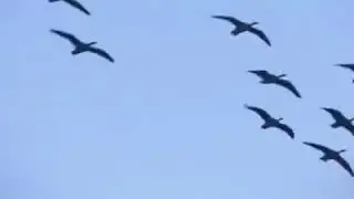 Я Люблю тебя больше своей жизни!!!