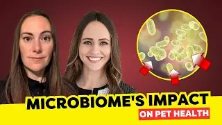 Dr. Sophie Nixon & Caitlin Donohue: Probiotics vs. Postbiotics