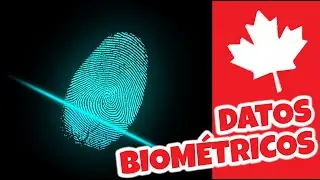 🍁 ✋¿Qué son los datos biométricos?