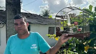 FUI VISITAR DUZINHO COM MEU PAPA CAPIM V8