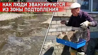 В зоне подтопления - 80 населенных пунктов. Как проходит эвакуация