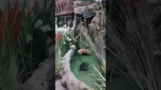 лога парк