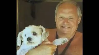 Picolina ein kleiner ausgesetzter Straßenhund aus Gran Canaria