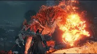 Sekiro: Demon of Hatred Max Difficulty No Damage