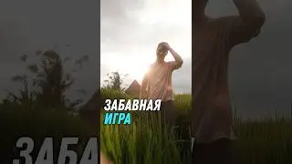 Шаги, которые необходимо сделать в любой кризисной ситуации