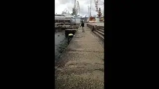 Форель уже в  Крыму!!!!