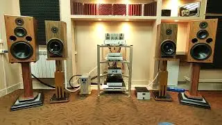 Line Magnetic LM-218 ia + Musician Aquarius R2R DAC (2)