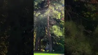 https://golden-resort.ru/ +7(918)3209974 /Алушта / GOLDEN FAMILY