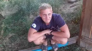 Телята в новом загоне.