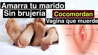 Tener coco mordan amarra tu marido sin brujería coco mordan