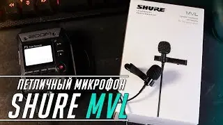 Обзор и тест Shure MVL