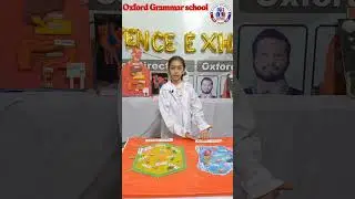 Animal cell & plant cell | Oxford Grammar school Shahdara town campus