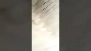 OJOL VS OJEK ONLINE NEEH ngakak