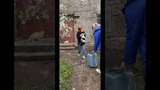 Очередное предательство