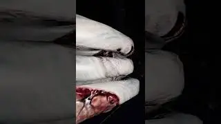 Когда Уже Сам Стал Вангой...