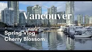 [ENG SUB] Sakura, Yaletown, La Foret Cafe & Bakery, Cultus Lake.