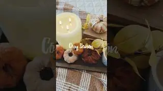 #falldecoratewithme2024 #falldecorideas #falldecorating #fall #falldecorinspo #cozyseason #fallvibes