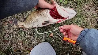 How to hang a pike on a stringer. 3 ways to hang a pike on a stringer