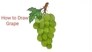How to draw grape step by step//grape drawing tutorial