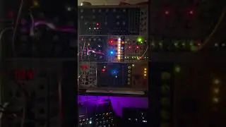 Some crazy Birds live in my Eurorack - Ambient Fun 