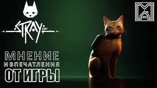 Stray [2022]  : Мнение и впечатления от игры