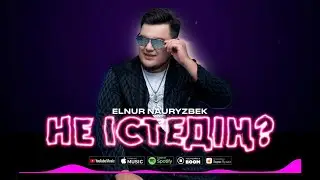 Elnur Nauryzbek - Не істедің? (Lyric video) 2024