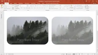 opacity  transparent image add in power point