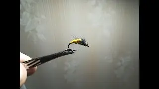 нимфа для плотвы