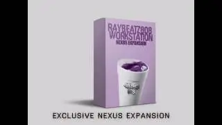 RayBeatz808 Workststion (VST)