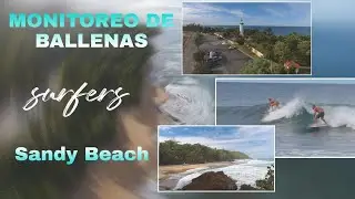 iniciando el monitoreo de ballenas en rincon | playa Sandy Beach