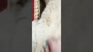 Догадайтесь, что делает Лёва?