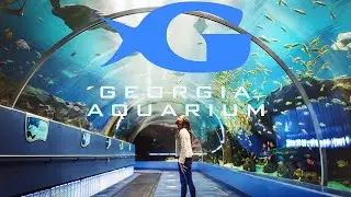 Largest Aquarium In The United States! | The Georgia Aquarium