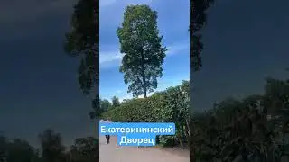 Санкт-Петербург, Екатерининский дворец #Санктпетербург #Екатерининскийдворец