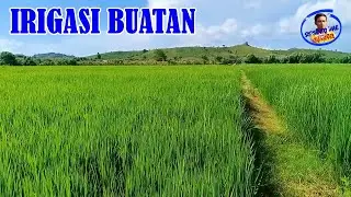 irigasi buatan ketika hujan tak kunjung datang