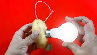How to Light Bulb Using Potato? | POTATO vs BULB Experiment