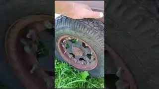 16 августа 2024 г.